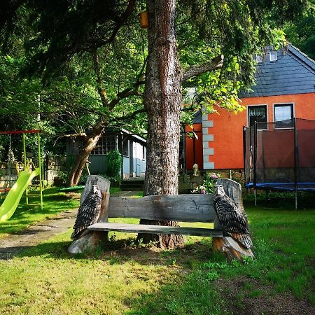 Ferienhaus Franz - An Der Elbe, Mit Grossem Garten Villa เพียร์นา ภายนอก รูปภาพ